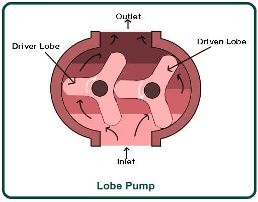 Lobe Pump.