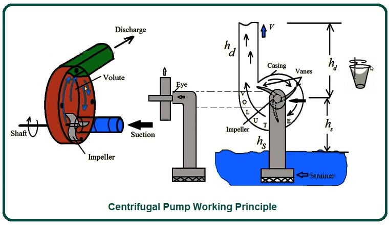 Centrifugal Pump Working Principle.