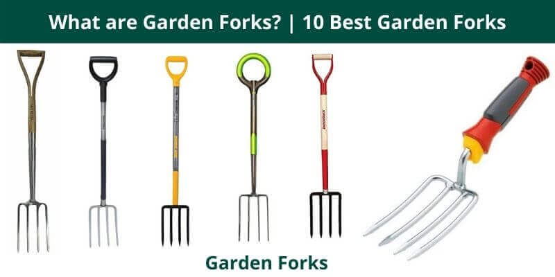 What are Garden Forks 10 Best Garden Forks