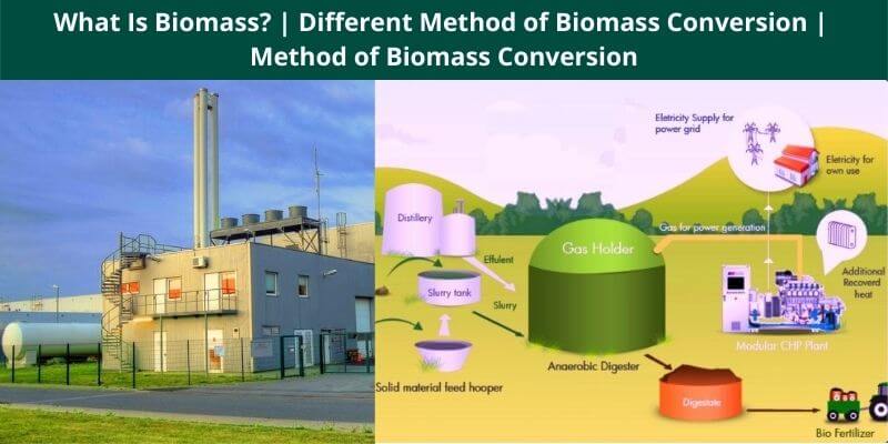 What Is Biomass Different Method of Biomass Conversion Method of Biomass Conversion